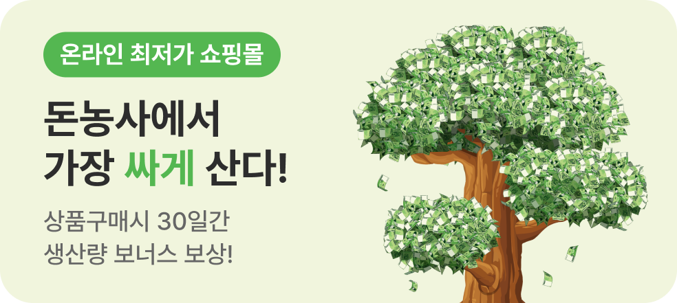 메인 배너